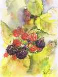 Berries