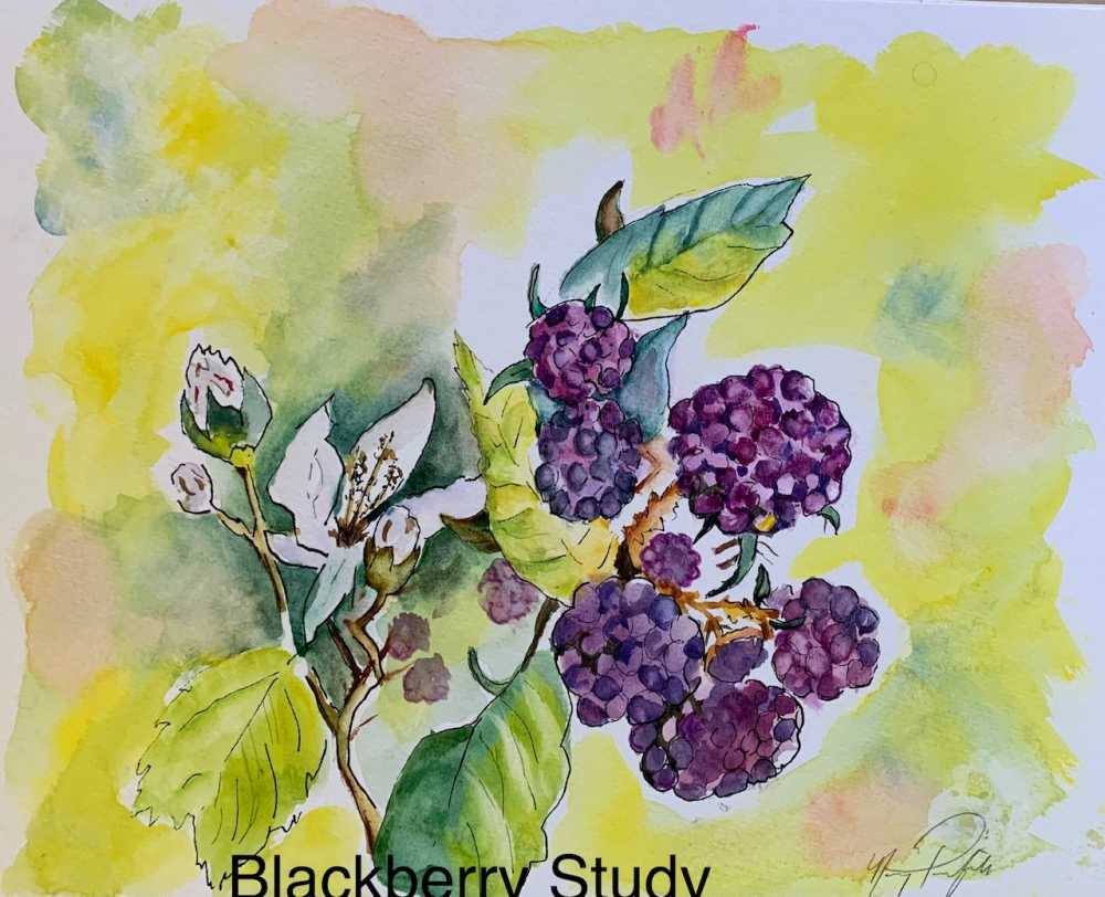 Blackberry Study