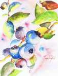 Berries