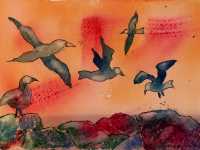 Birds