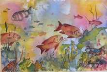 Fish