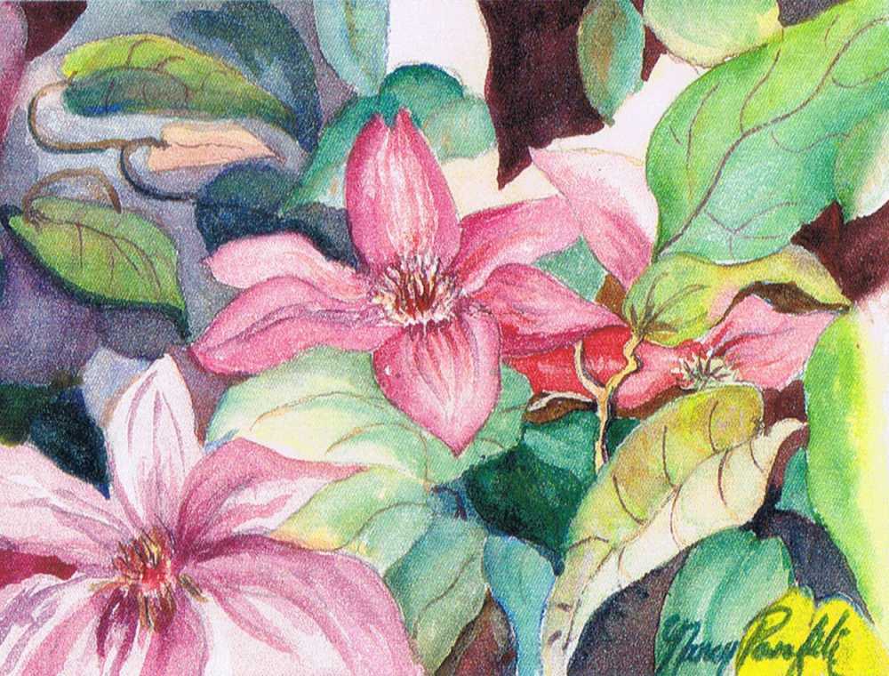 Clematis III