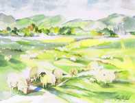 Landscapes
