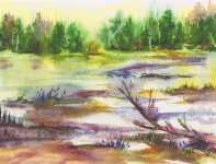 Landscapes