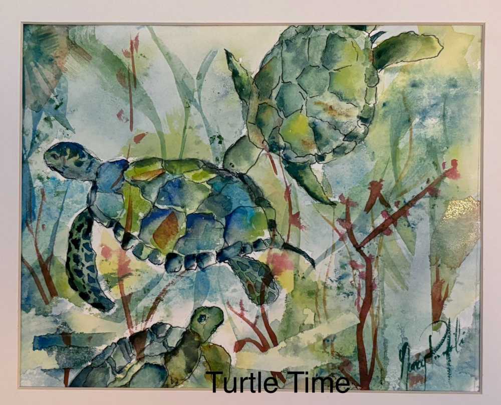 Turtle Time