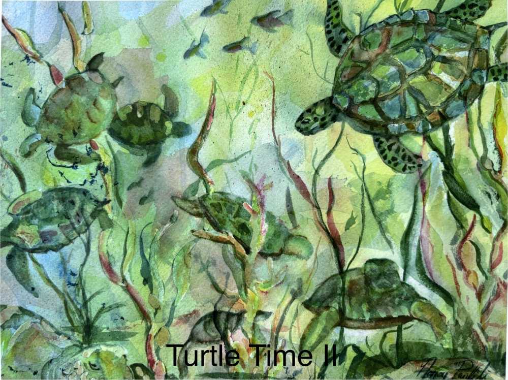 Turtle Time II